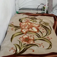 فلزی یک نفره|تخت و سرویس خواب|رشت, خمیران زاهدان|دیوار