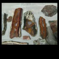 سنگ شجر|جواهرات|سنندج, |دیوار