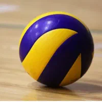بازیکن والیبال