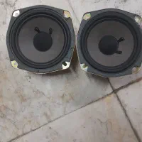 دوتا باند سالم