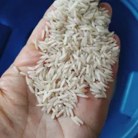 برنج زرد دم درجه یک