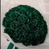 دستبند|بدلیجات|ایلام, |دیوار