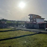 جنگلی200مترشهرکی