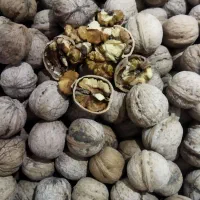 گردو سراب کرند موجوداست|خوردنی و آشامیدنی|دالاهو, |دیوار