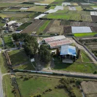 کارخانه گلزا