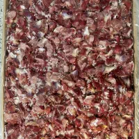 سنگدان بی پوست درشت قرمز