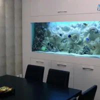 سرویس تخصصی آکواریوم