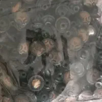 دگمه لباس