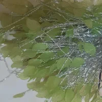 گل گریستال|گل مصنوعی|شیراز, شهرک مطهری|دیوار