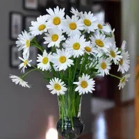 وام فرزند آوری