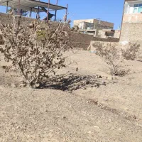 «فروش یک قطعه زمین خاص برای افراد خاص»