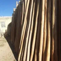 خرید فروش چوب|خدمات باغبانی و درختکاری|خرمآباد, |دیوار