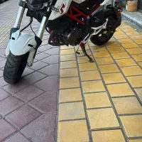 مینی بنلی ۱۳۵|موتورسیکلت|شیرود, |دیوار