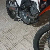 فلات سی آراف نیوفیس