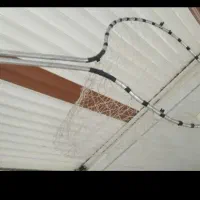 کفتر معاوضه با تور