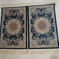 پادری گل برجسته نونو|پادری|کرج, ساماندهی|دیوار
