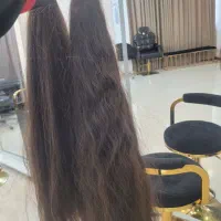 خریدار مو طبیعی بالاترین قیمت فوری