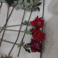 گل رز و درحد نو|گل مصنوعی|تهران, شهرک رضویه|دیوار