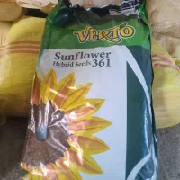 بذر‌تخمه‌s400