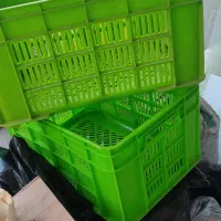 سبد پلاستیکی|عمده‌فروشی|اصفهان, سروستان|دیوار