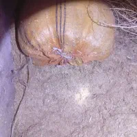 کاه|لوازم جانبی حیوانات|سملقان, |دیوار