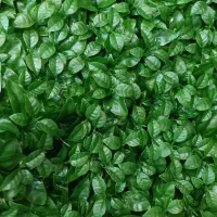 فنس /گرینوال/چمنی/ریسه/|گل مصنوعی|شیراز, سینما سعدی|دیوار