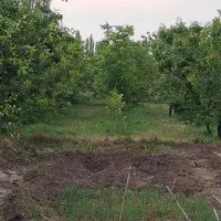 باغ برجاده|فروش دفتر صنعتی، کشاورزی، تجاری|خوی, |دیوار