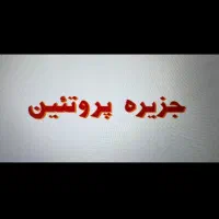 فروشنده خانم در فروشگاه پروتئینی