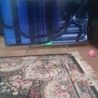 فروش تلویزیون|تلویزیون و پروژکتور|آستانه اشرفیه, |دیوار