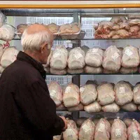 نیروی کار در مرغ و ماهی و گوشت برادران سلیمیان