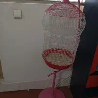 قفس|لوازم جانبی حیوانات|شاهرود, |دیوار