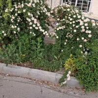 راهنمایی میخوام