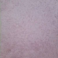 فرش عروسکی ۴متری|فرش|بندر انزلی, نیمه شعبان|دیوار