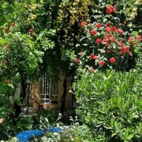 خونه باغ مبله بزنجان|اجارهٔ کوتاه‌مدت ویلا و باغ|بافت, |دیوار