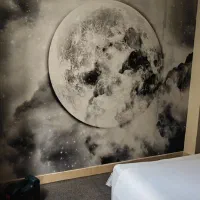 فروش و نصب کاغذ دیواری