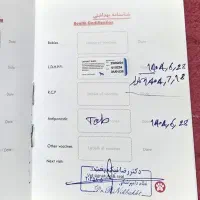 پیت بول|سگ|یاسوج, |دیوار