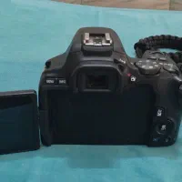 دوربین کانن 250D|دوربین عکاسی و فیلم‌برداری|یزد, |دیوار