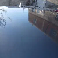 پراید ۹۰ عروسک|خودرو سواری و وانت|سرعین, |دیوار