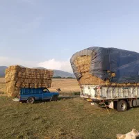 پرس شالی و گندم تحویل فوری