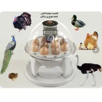 دستگاه جوجه کشی با 1 سال گارانتی