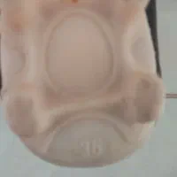 کفش چمن|کیف، کفش، کمربند|شهرکرد, |دیوار