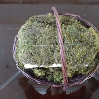 سبد حصیری|صنایع دستی و سایر لوازم تزئینی|قم, خداکرم|دیوار