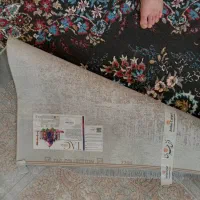 ۵ تا فرش ۱۲ متری ۱۲۰۰ شانه گلبرجسته پلمپ|فرش|خرم‌آباد, |دیوار