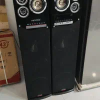 باند دوقلوی میکرولب