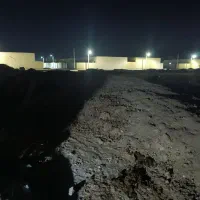 کود اسب