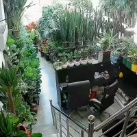 آگهی جهت همکاری در گلفروشی