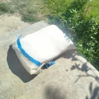 آرد|حراج|چناران, |دیوار