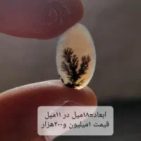 کلکسیون عتیقه سنگ شجر معاوضه با انگشتر شجر زبرجد|کلکسیون اشیاء عتیقه|زنجان, |دیوار