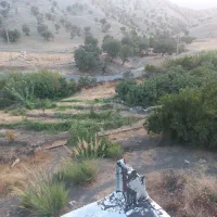 باغ و منزل مسکونی|فروش خانه و ویلا|معمولان, |دیوار