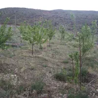 دماوند وادان  قطعات  زمین به متراژ ۵۰۰ و ۳۰۰ متری